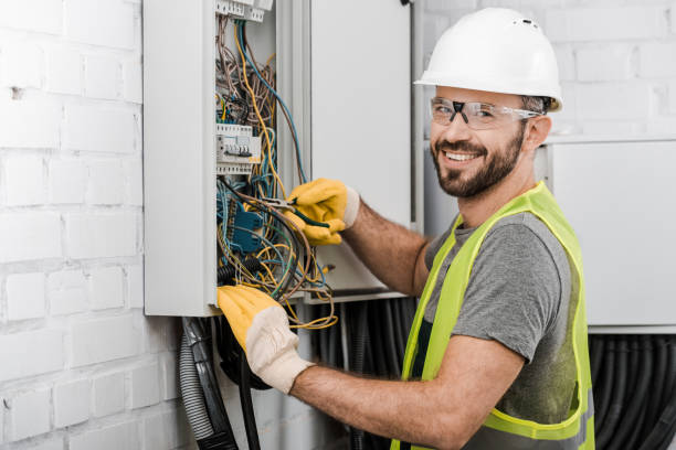 Best Local Electrician Companies  in Level Plains, AL