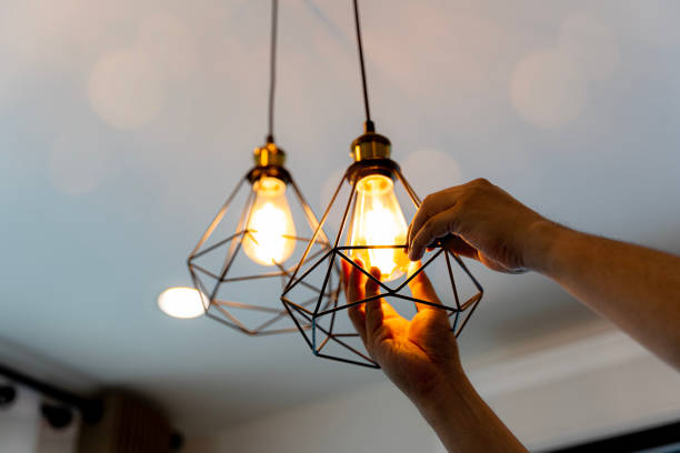 Best Affordable Electrical Installation  in Level Plains, AL