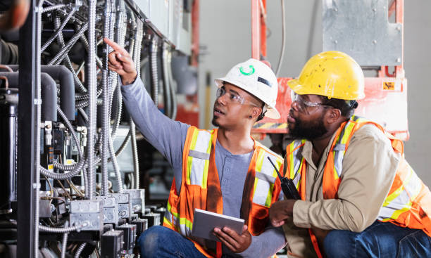 Best Affordable Electrician  in Level Plains, AL