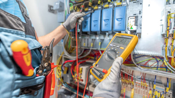 Best Electric Panel Repair  in Level Plains, AL