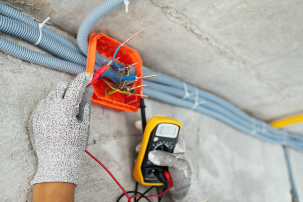 Best Electric Panel Repair  in Level Plains, AL