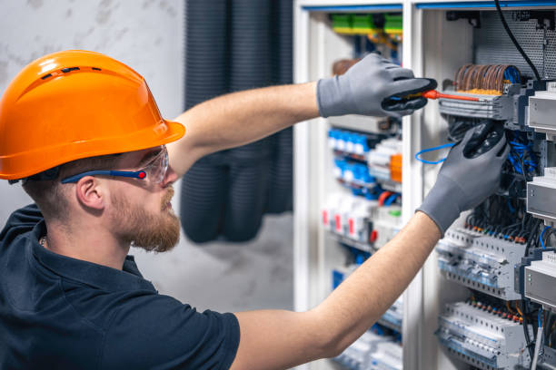 Best Electrical System Inspection  in Level Plains, AL